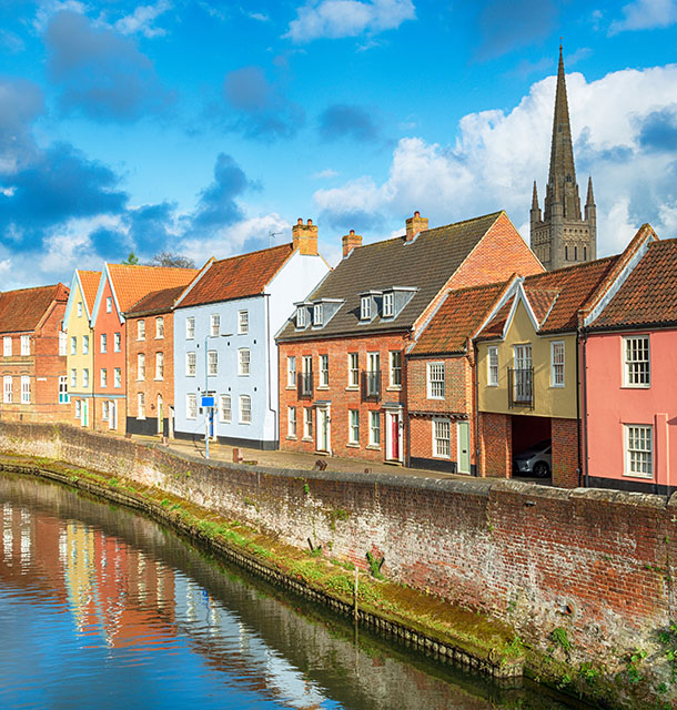 Pest control Norwich