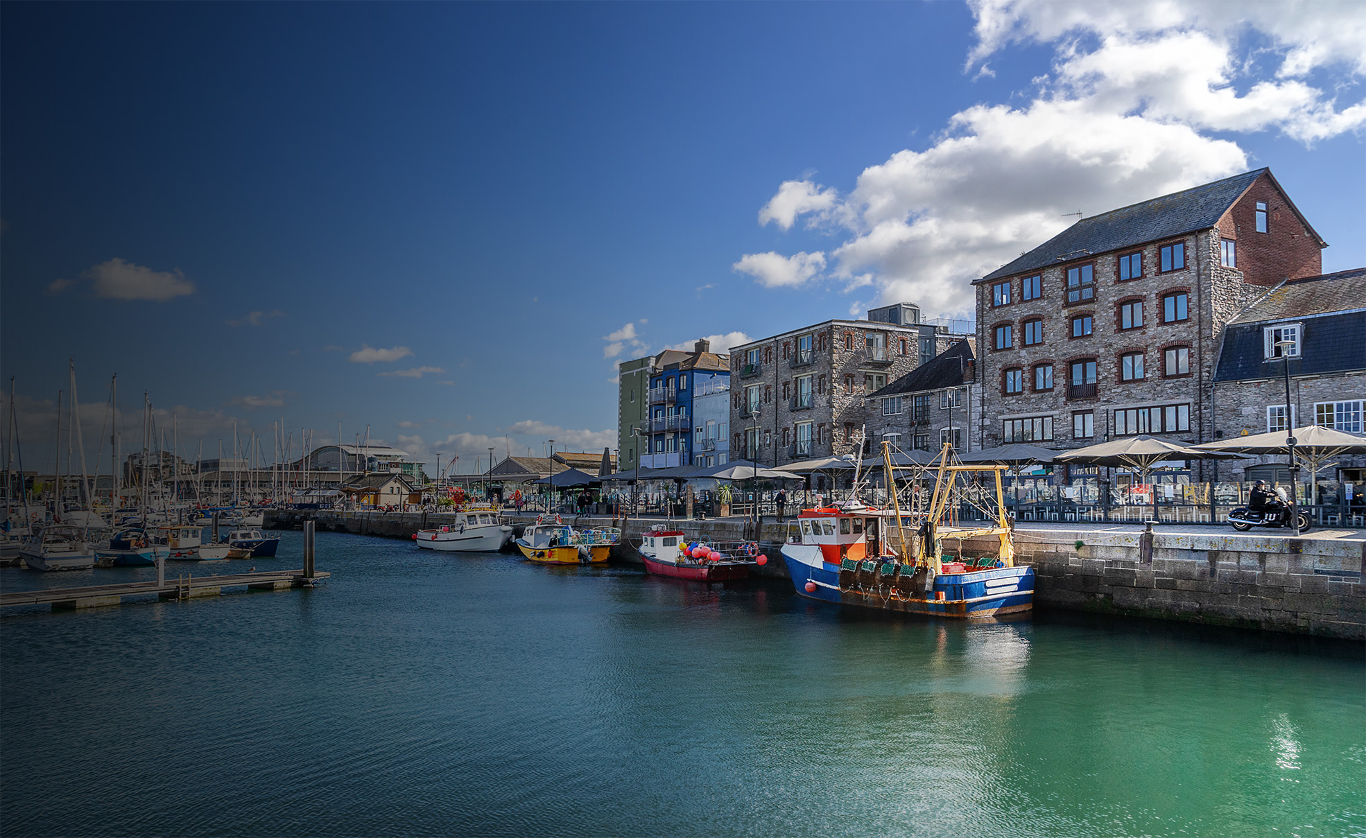 pest control plymouth