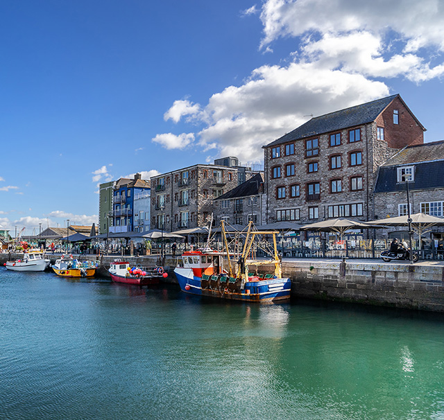 Pest control Plymouth