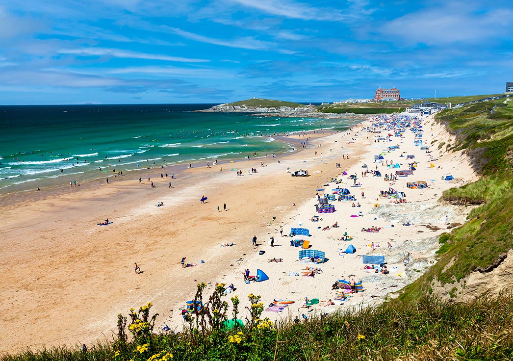 Pest Control Newquay